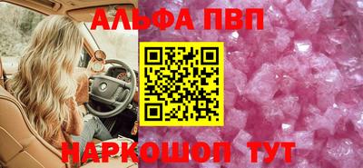 эйфоретик Кингисепп