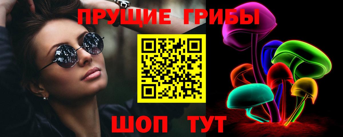 Котовск  дарнет шоп  Вход с VPN  Галлюциногенные грибы прущие грибы  Галлюциногенные грибы Cubensis 